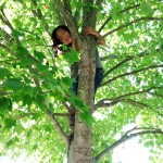 child-in-tree1