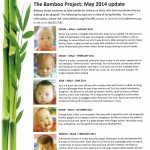 Bamboo May 2014