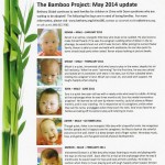 bamboo