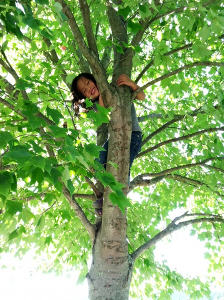 child-in-tree1