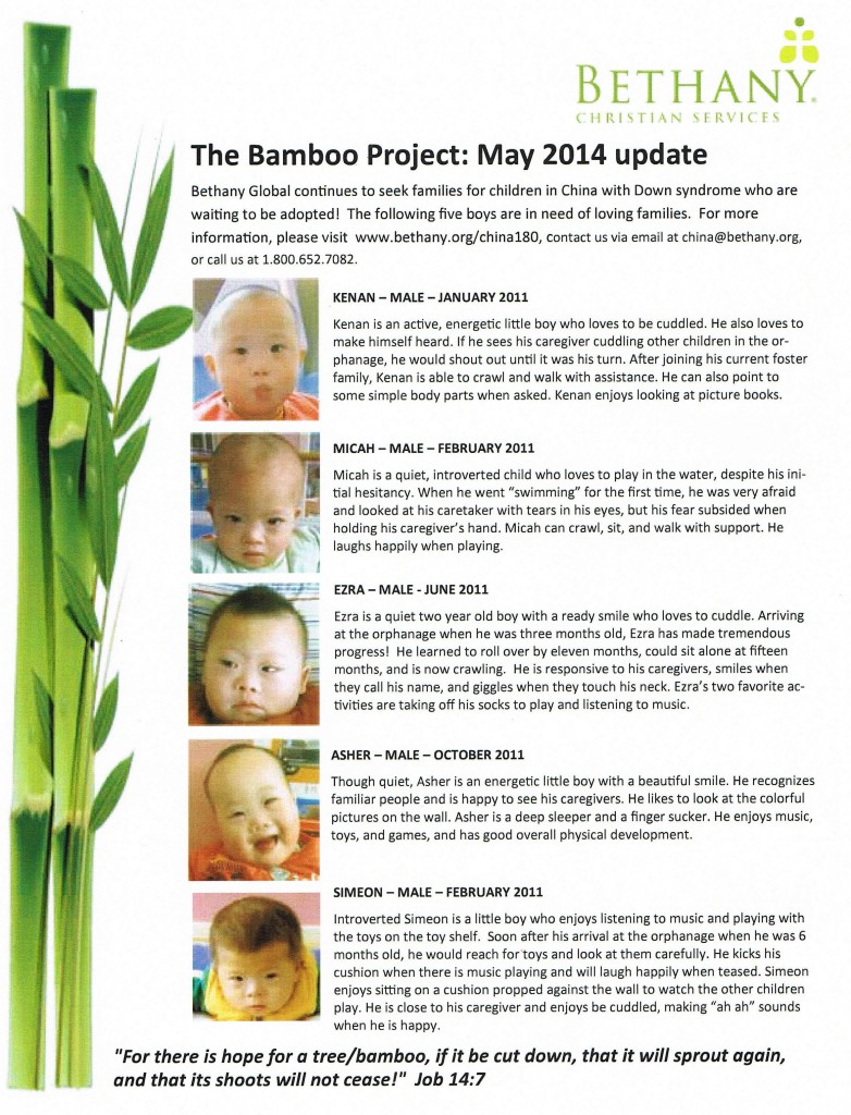 Bamboo May 2014