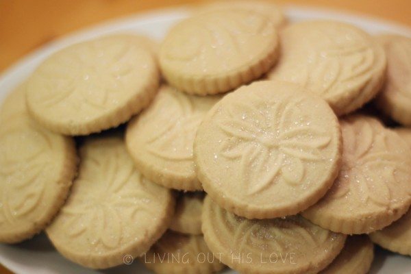 moon cookies 1